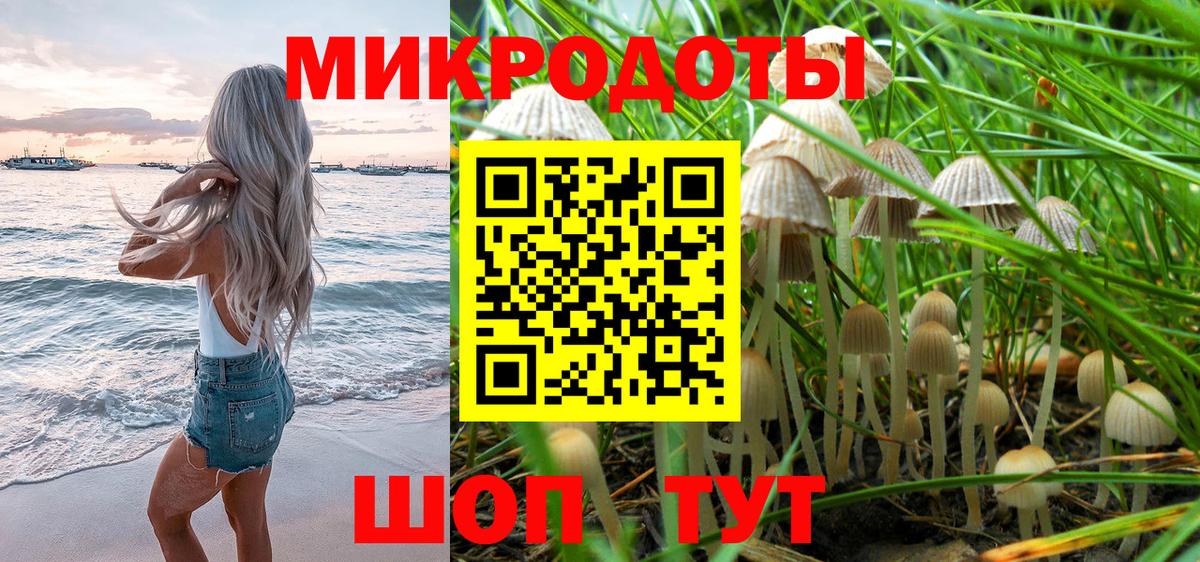 Калининград  Галлюциногенные грибы GOLDEN TEACHER  Вход с VPN  Галлюциногенные грибы мухоморы 