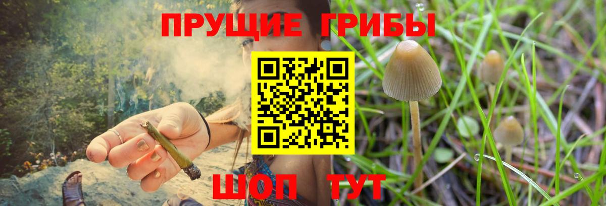 Псилоцибиновые грибы Magic Shrooms Калининград